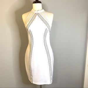 Arden B  Bodycon Dress With Sheer Back